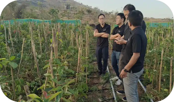 Team inspecting after the plantation drive
